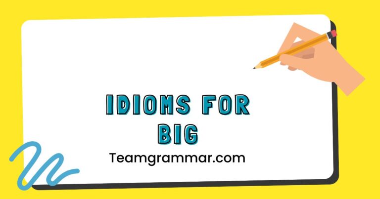Idioms for Big