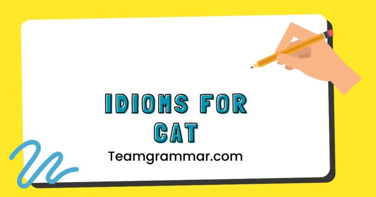 Idioms for Cat