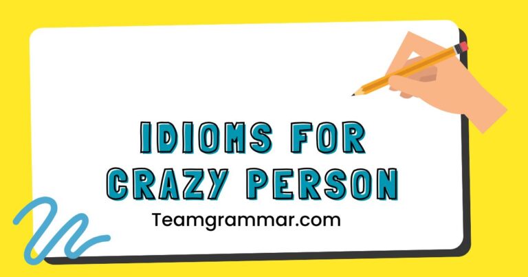 Idioms for Crazy Person
