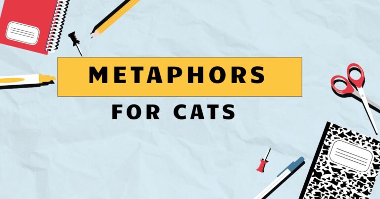 Metaphors for Cats