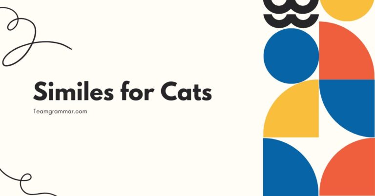 Similes for Cats