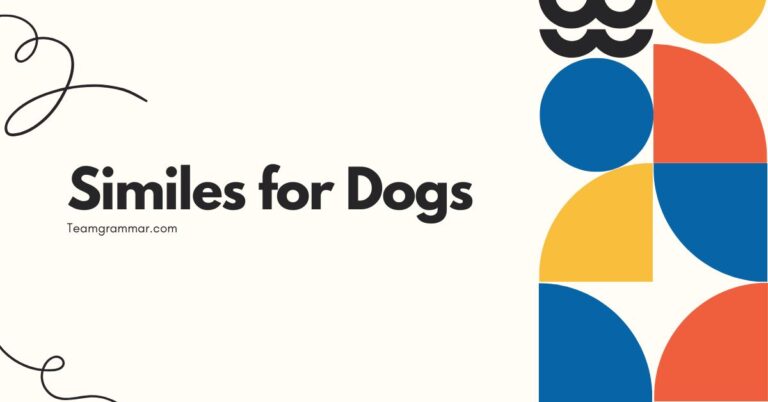 Similes for Dogs