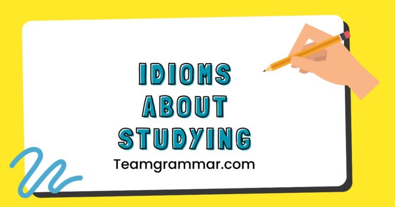 Idioms About Studying