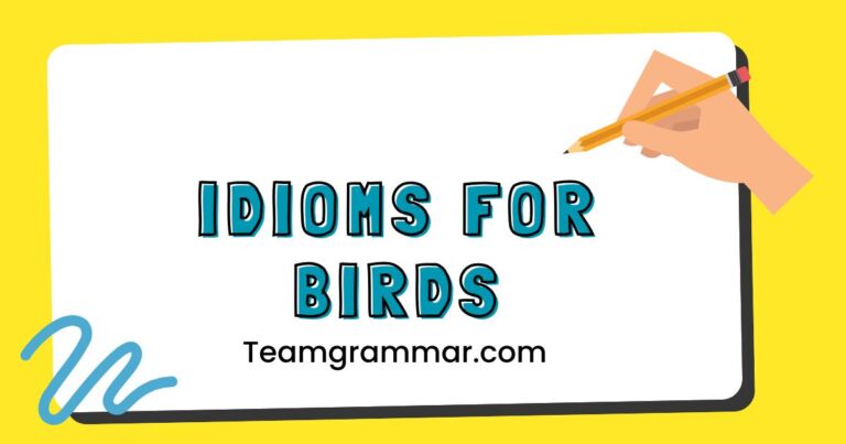 Idioms for Birds