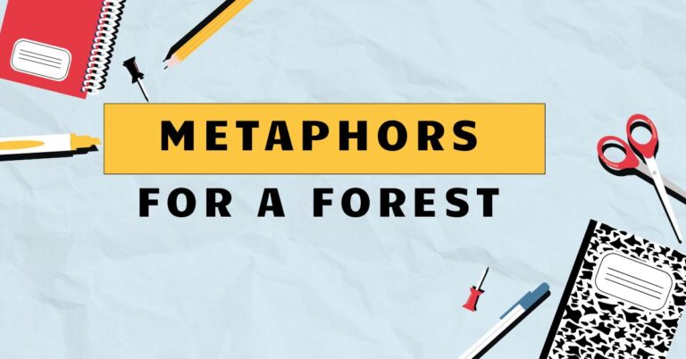 Metaphors for a forest